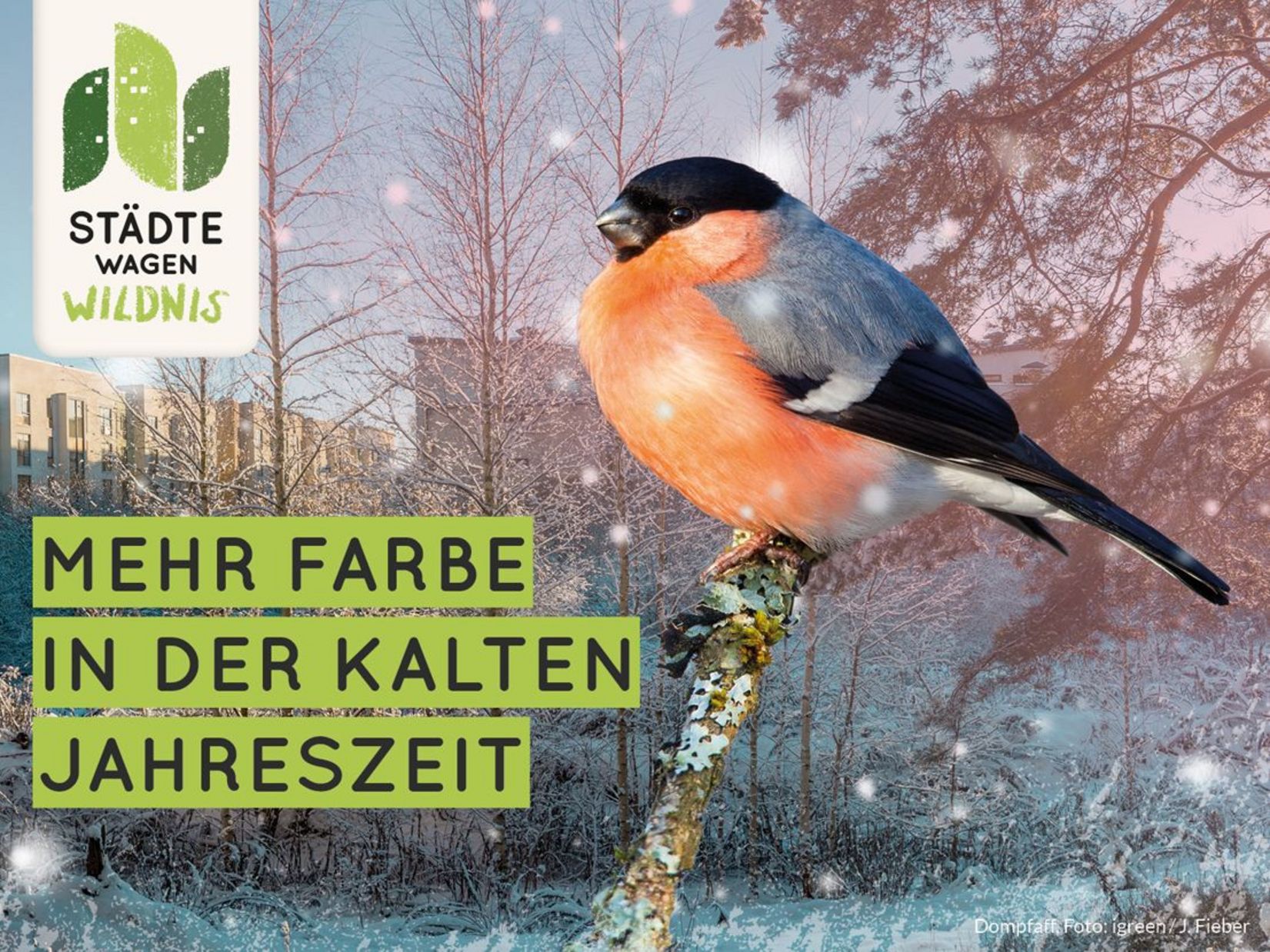 Unsere Weihnachtspostkarte (c) igreen